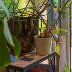 Tiny House - Fietsverhuur, Eigen Keuken En Badkamer Apartamento Nimega