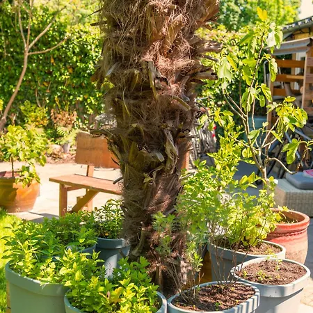 Tiny House - Leenfietsen, Eigen Keuken En Badkamer