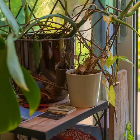 Tiny House - Fietsverhuur, Eigen Keuken En Badkamer شقة نايميخين