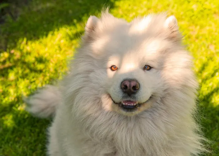 Tiny House - Fietsverhuur, Eigen Keuken En Badkamer *
