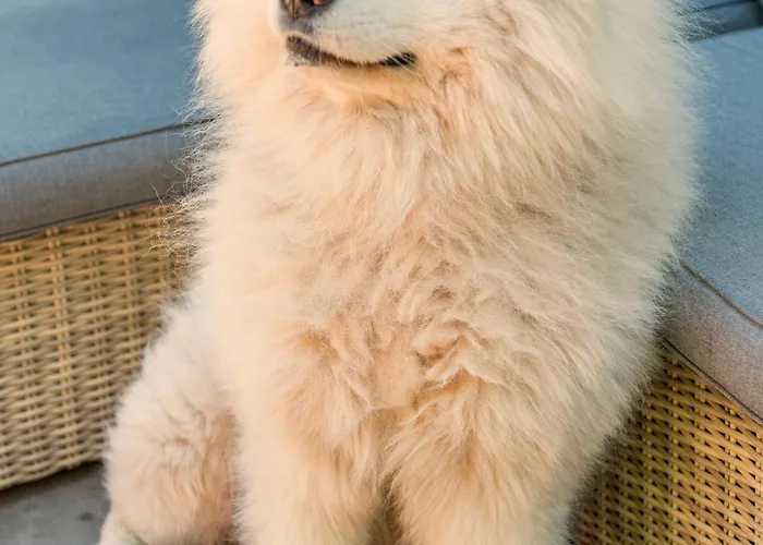 Apartamento Tiny House - Fietsverhuur, Eigen Keuken En Badkamer *