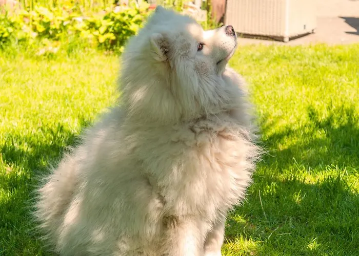 Tiny House - Fietsverhuur, Eigen Keuken En Badkamer Apartamento Nimega