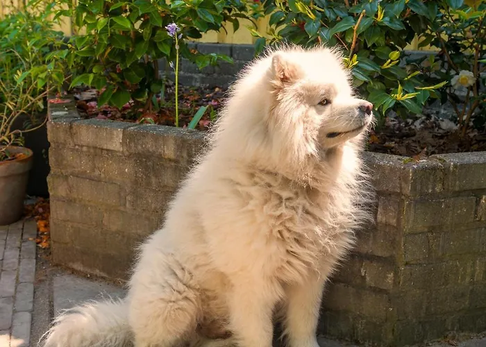 Tiny House - Fietsverhuur, Eigen Keuken En Badkamer *