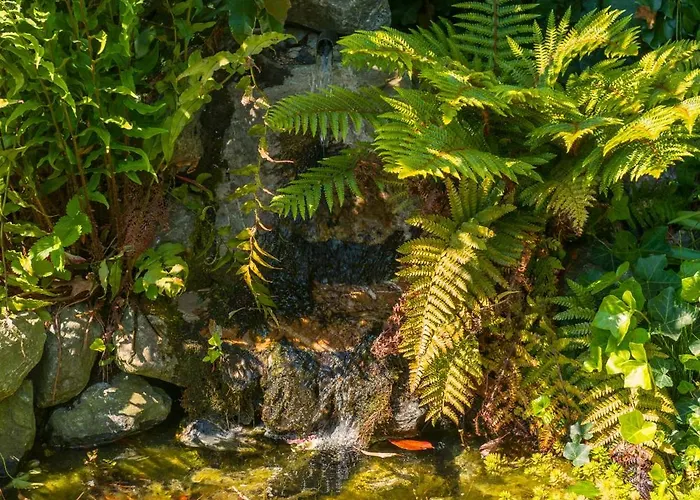 Apartamento Tiny House - Fietsverhuur, Eigen Keuken En Badkamer Nimega