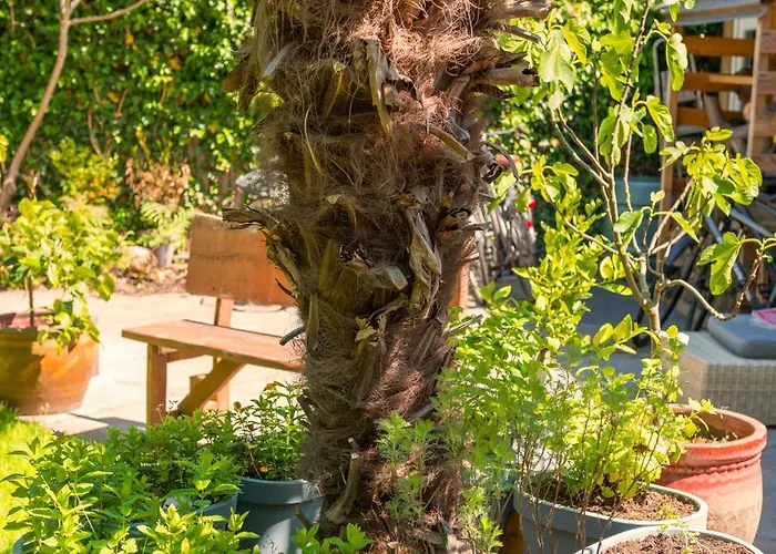 Tiny House - Fietsverhuur, Eigen Keuken En Badkamer