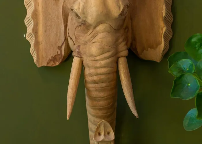 Tiny House - Fietsverhuur, Eigen Keuken En Badkamer Apartamento *