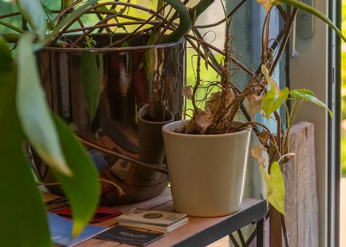 Tiny House - Fietsverhuur, Eigen Keuken En Badkamer Apartamento Nimega