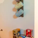 Tiny House - Fietsverhuur, Eigen Keuken En Badkamer Lägenhet